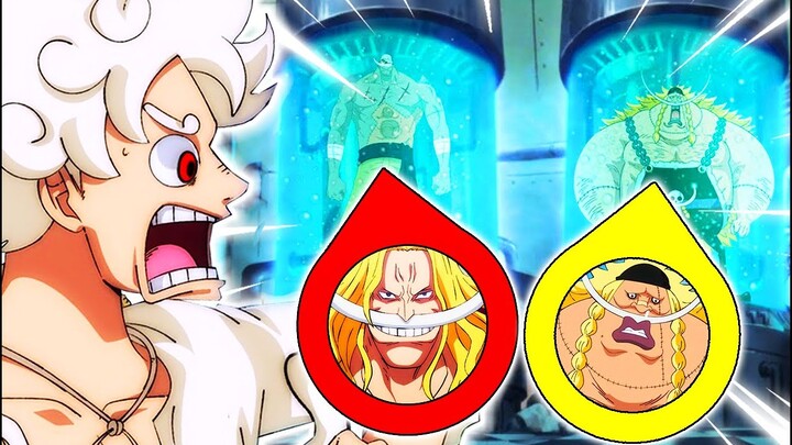 [ODAs HINWEIS] DIE UNGLAUBLICHE KLON-WENDUNG IN ONE PIECE..?! 😱