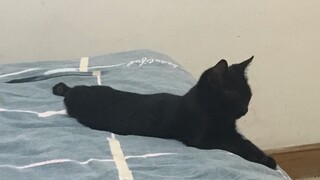 We've been together for ten days.