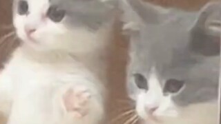 Give it to her! Hurry up and give it to her!