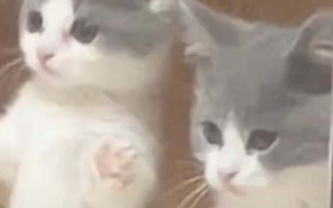 Give it to her! Hurry up and give it to her!