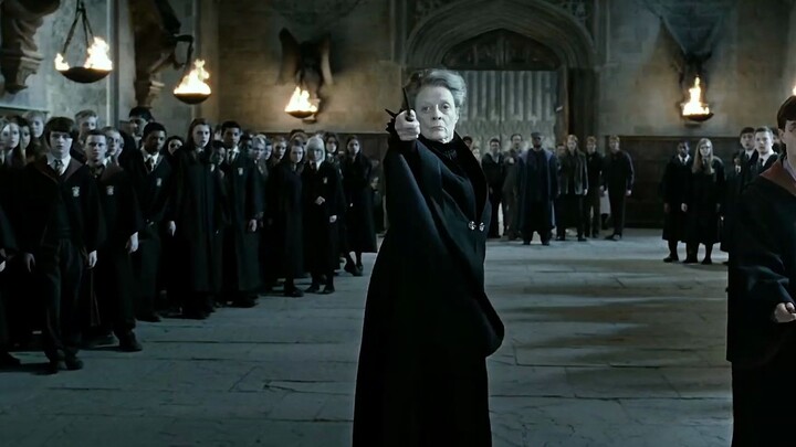 Giáo sư McGonagall: Bạn đã vượt qua kỳ thi Auror chưa?