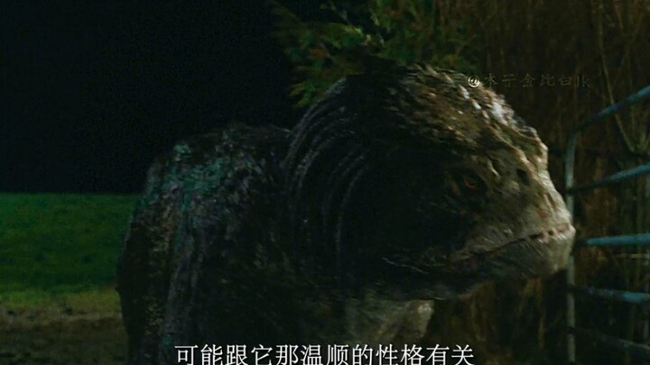 Why was one of the Predator hounds in "Predator 2018" turned against its kind?