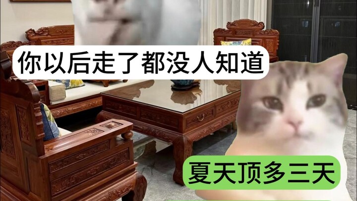 Khi thế hệ 00 bị thúc giục cưới xin