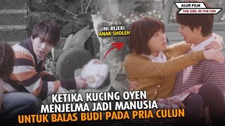 INI YANG TERJADI KETIKA KAMU BERBUAT BAIK PADA SEMUA KUCING !!