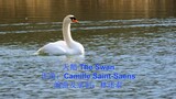 现代音响轻音乐 -天鹅 The Swan - 作曲: Camille Saint-Saens 编曲及录制: 林述泰