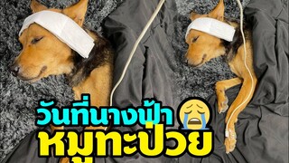 "หมูทะ" ไม่สบาย OMG! น่ารักน่าสงสารนางฟ้าตัวน้อยๆแม่คุณทูนหัวของบ่าวบูม
