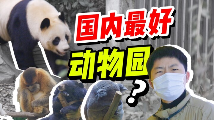 动物都摆烂成这样了！国内最好动物园就这？