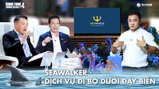 Công viên san hô đầu tiên của VN lên gọi vốn được 2 Shark đề nghị đầu tư | Shark Tank Việt Nam 4
