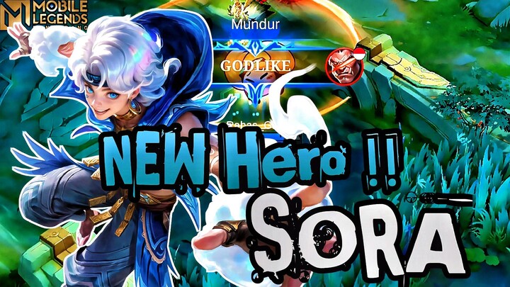 New Hero SORA Se-OP Ini !!😍🤫