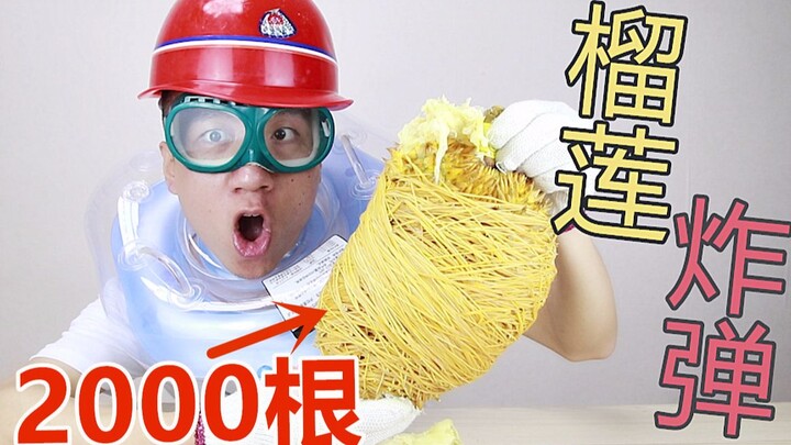 Gói 2000 sợi dây thun quanh quả sầu riêng — nếu nổ thì sức công phá cũng tương đương lựu đạn phân mả