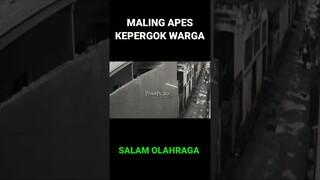 Maling Motor Apes Kepergok Warga #shorts