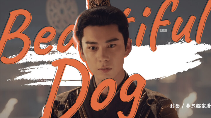 ละครจีนย้อนยุคไม่ดูหน้า แล้วจะให้ดูอวัยวะภายในเหรอ?