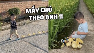 Phát hiện 1 thanh niên cầm đầu băng nhóm đáng iu ❤ | Pets TV