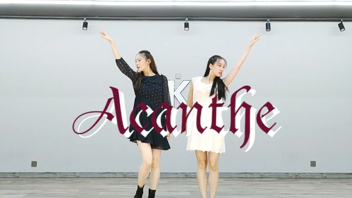 [es flip] Acanthe/Ranunculus song-Valkyrie (self-made dance blank part)