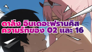 ดาลิ่ง อินเดอะฟรานคิส |【รวมดารา】ระวังนะ！ความรักของ 02 และ 16