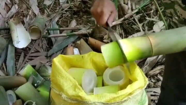 หน่อไม้สดชื่นฉ่ำน้ำแบบนี้ทำให้คุณหมีน้ำลายสอเลย!