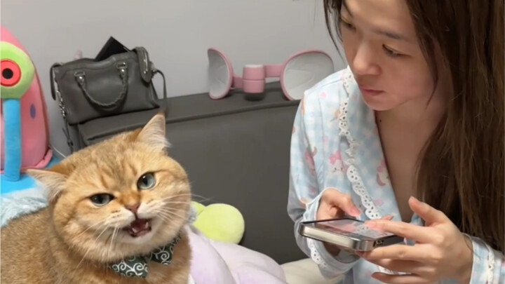 ชัดเลย พอ “ผู้ชาย” ทำตัวขอไปที ก็ไม่เลือกสายพันธุ์เลย