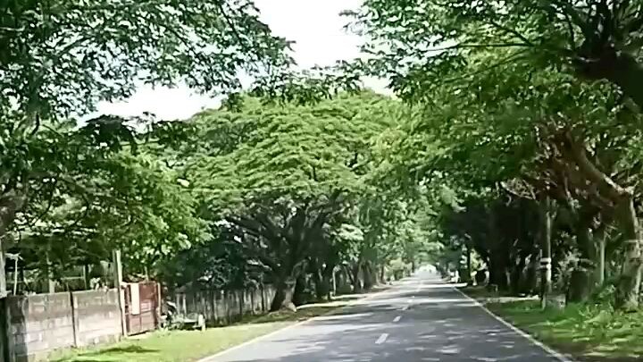 Jala Jala Rizal