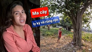 👻 Ma 30: Ma cây rùng rợn | Chuyện ma DIVA Cát Thy