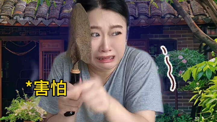 Where there’s an auntie, that’s home!