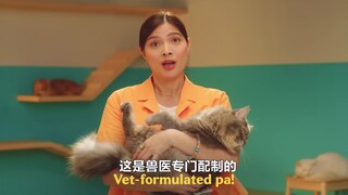 一支专门拍给猫猫看的广告，全程都是喵喵喵喵喵......太可爱了....