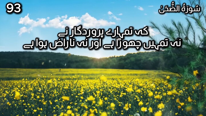 Quran in Urdu | Surah Ad-Duha | Chapter No 93 | Tarjuma Voice by AbdulRahim عبدالرحيم