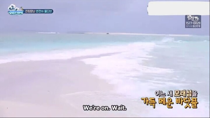 E340 Law of the Jungle - Sri Langka