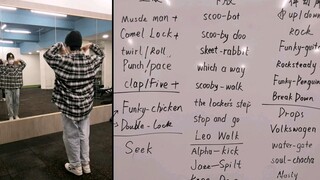 [LOCKING element collection] Summary of my own dance practice notes, upper limbs + lower limbs + rhy