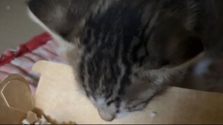 VID_20250313 (5)