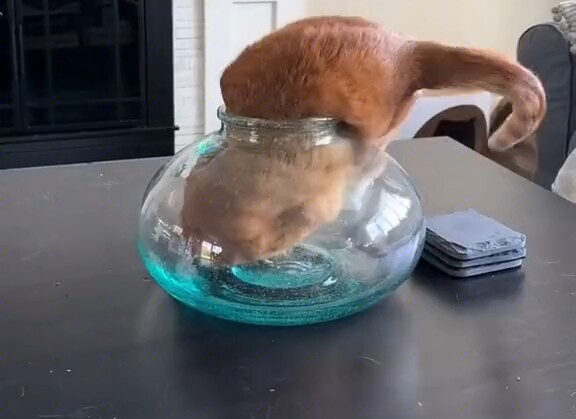 ฮาคิมีตัวป่วนนี่เอง