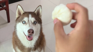 Roubaozi hits Erha, and there is no coming back!
