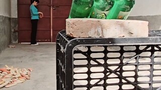河南花大姐弹弓精彩视频