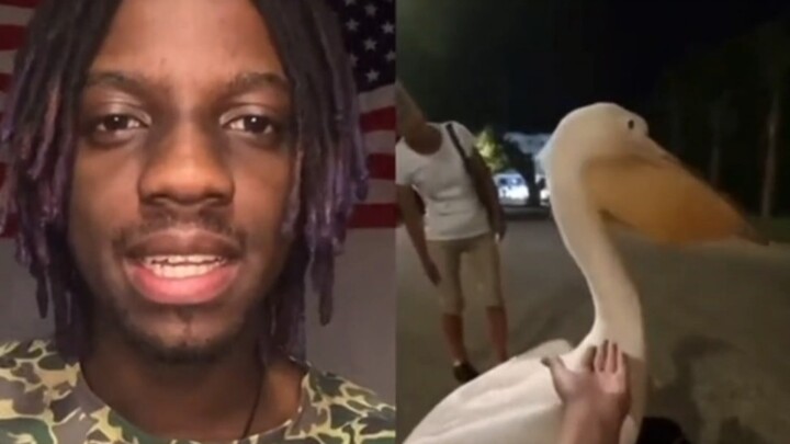 Bro?
