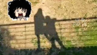 Ibu juga tidak kenal sama kura-kura di kolam permohonan itu.