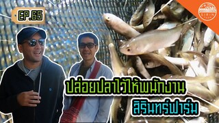 ปล่อยปลาไว้ให้พนักงานสิรินทร์ฟาร์ม - สิรินทร์ฟาร์ม EP.65