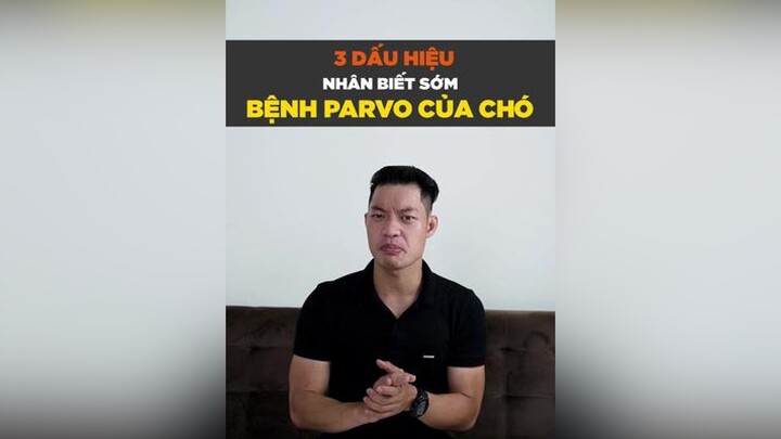 3 dấu hiệu nhận biết sớm bệnh Parvo của chó tuitienpet petnhatrang petonesaigon dcgr