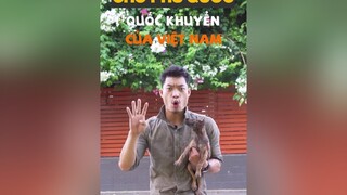 Chó Phú Quốc, Quốc Khuyển của Việt Nam có gì đặc biệt