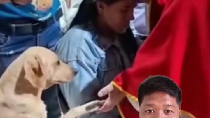 Anjing ini ikut-ikutan minta di do'akan sama pastor  #respect