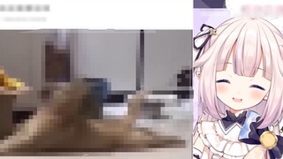 Seorang lolita Jepang langsung kabur setelah diingatkan oleh penonton saat menonton bola sampingan s