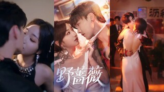 🔥Du Yafei & Yang Shuyu - Wild Rose《野蔷薇》(2025) Eng Sub