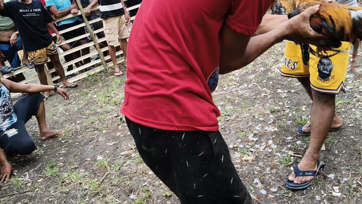 Pumpkin Sweeter From Lipa City Batangas Won