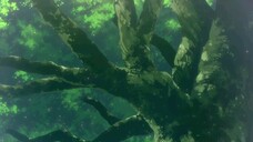 even given the worthless appraiser class S1 E11 [Hindi]