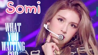 【Somi】8.2人气歌谣舞台！小短裙热舞！身材太好！