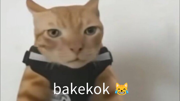izin bg
