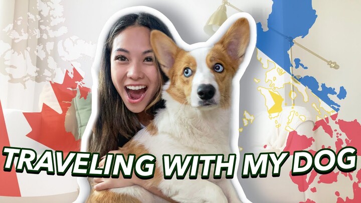 TRAVELING WITH OUR DOG!! (Canada to Philippines)
