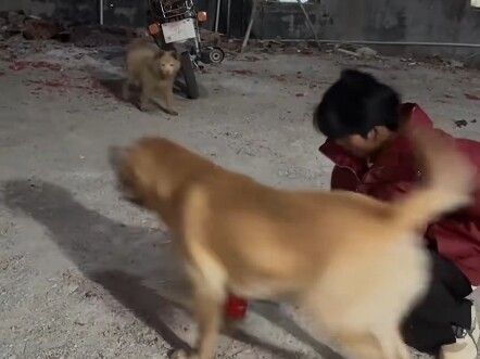 Bener-bener bikin gue ngakak…