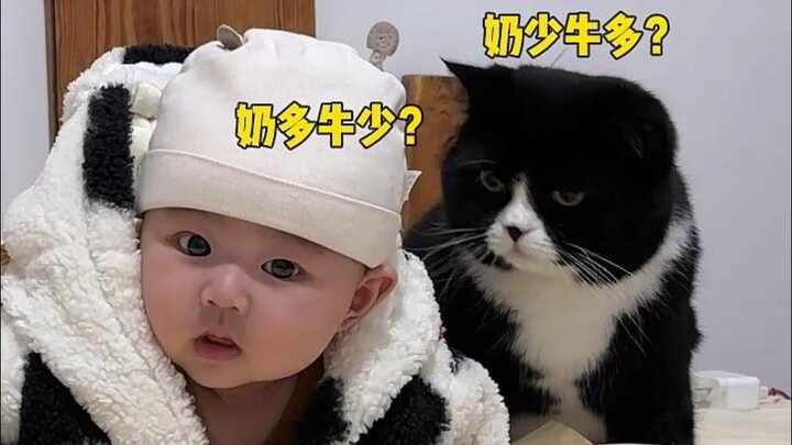 Jika semua anak saya adalah kucing susu