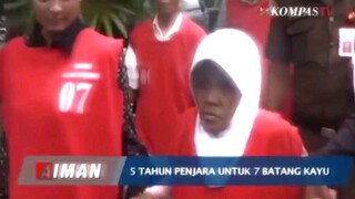 Viral Nenek ini di penjaran cuman Ambil 5 kayu