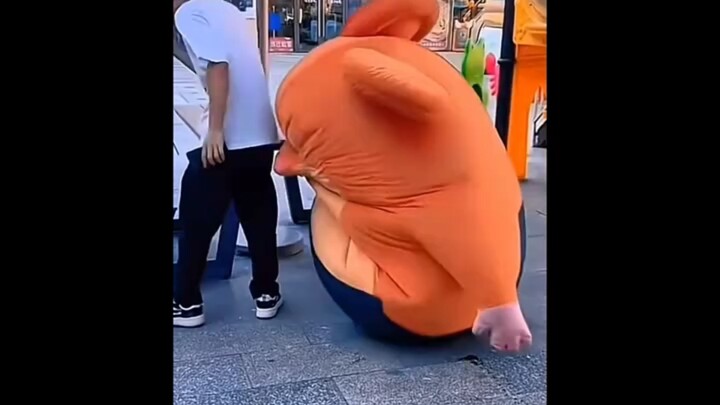 他在寻找气味来源，就是找不到