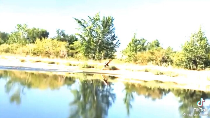 đây là cảnh giới của một cao thủ chươt Nước